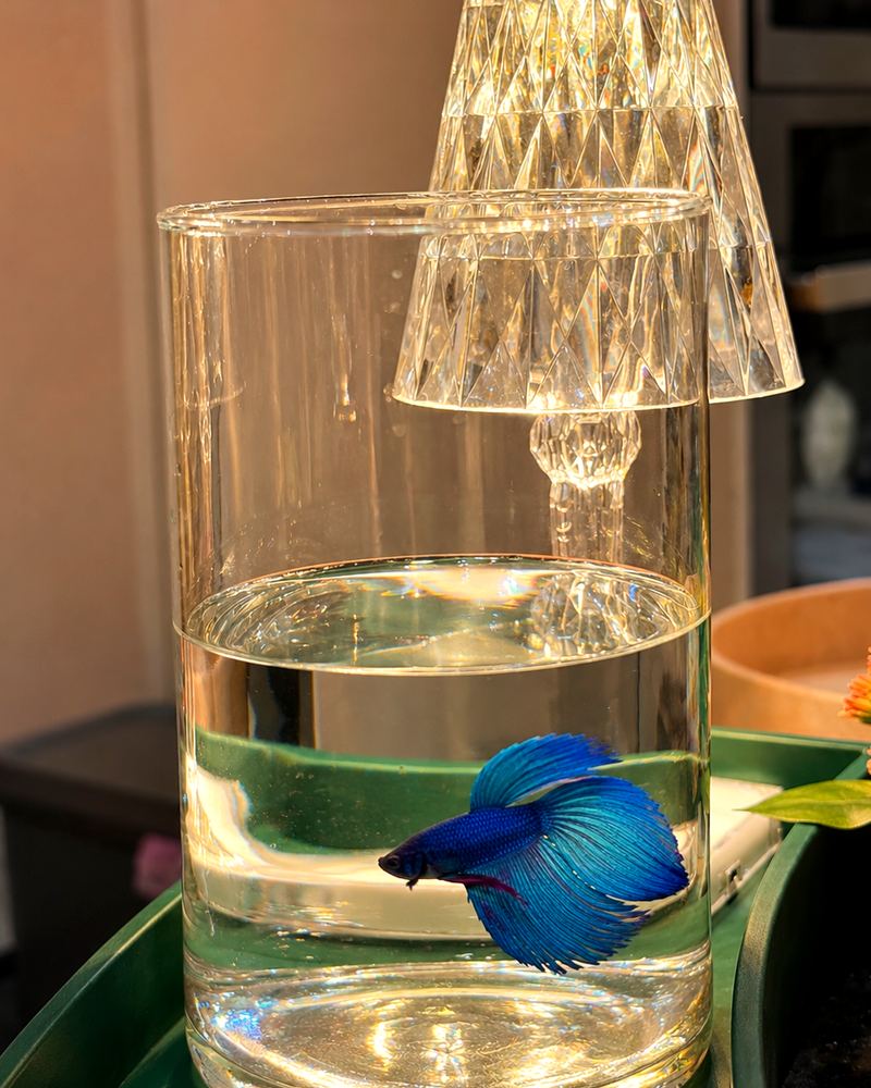 the small things on the table